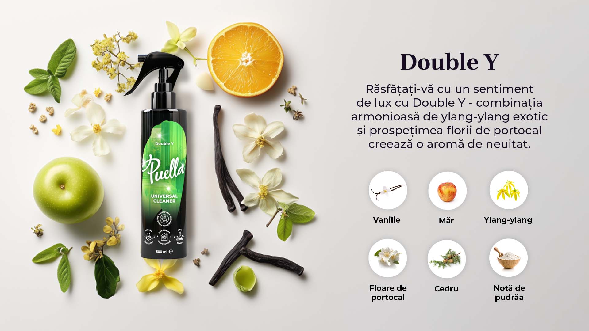 Web banner